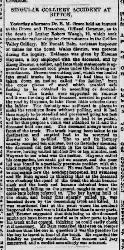Luther Robert Waugh - Western Daily Press - Thursday 17 December 1885